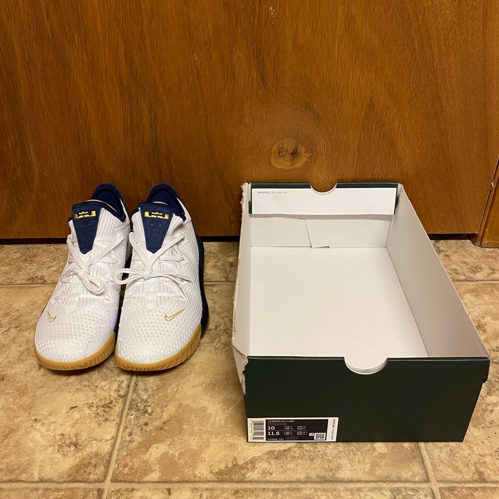 Nike Men’s LeBron XVI Low Basketball Shoes